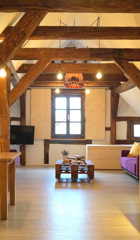 Ferienwohnungen Ostengasse 22 레겐스부르크 객실 사진