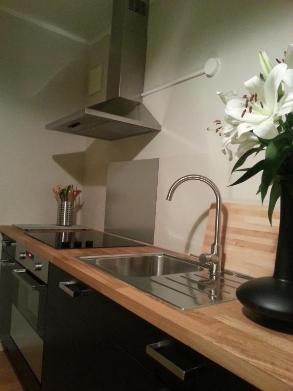 Ferienwohnungen Ostengasse 22 레겐스부르크 객실 사진